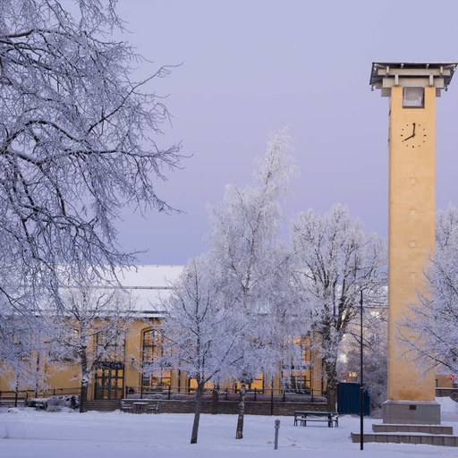 University of Skovde 3