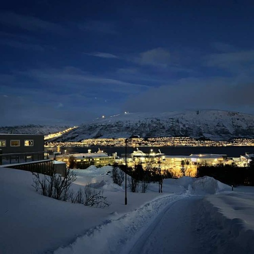 University of Tromso The Arctic University of Norway 3