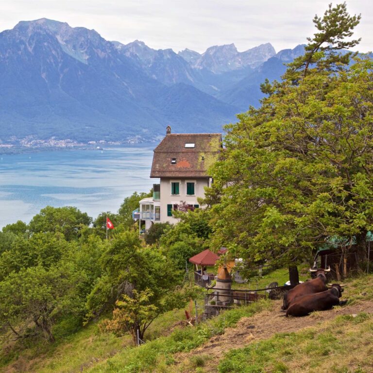 334  Montreux  Cropped  5 768x768