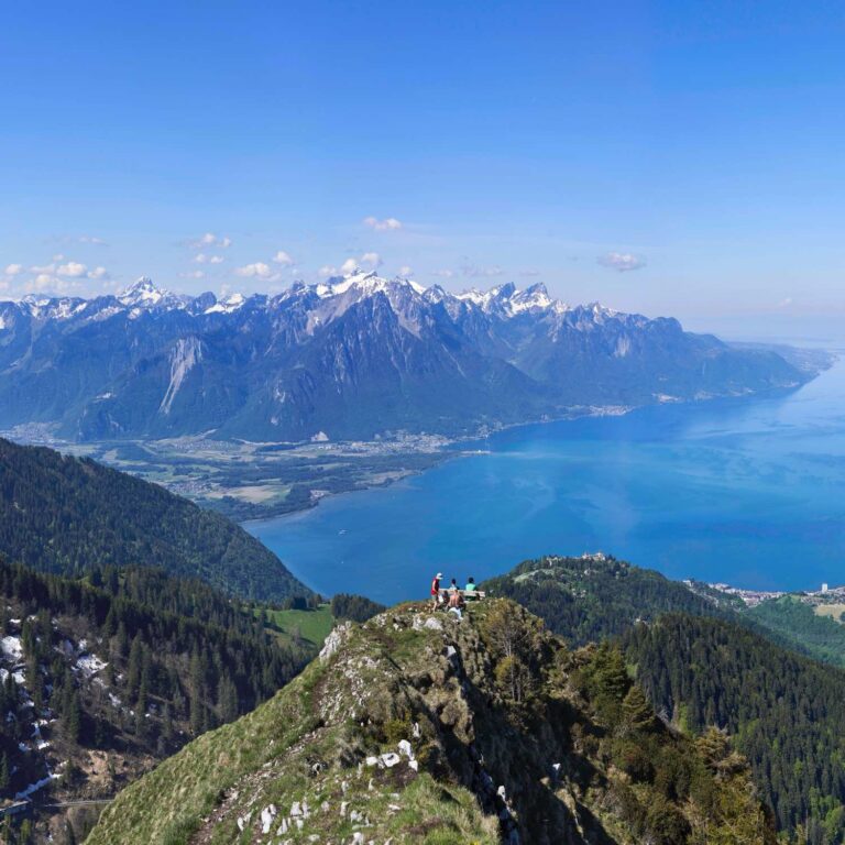 334  Montreux  Cropped  6 768x768