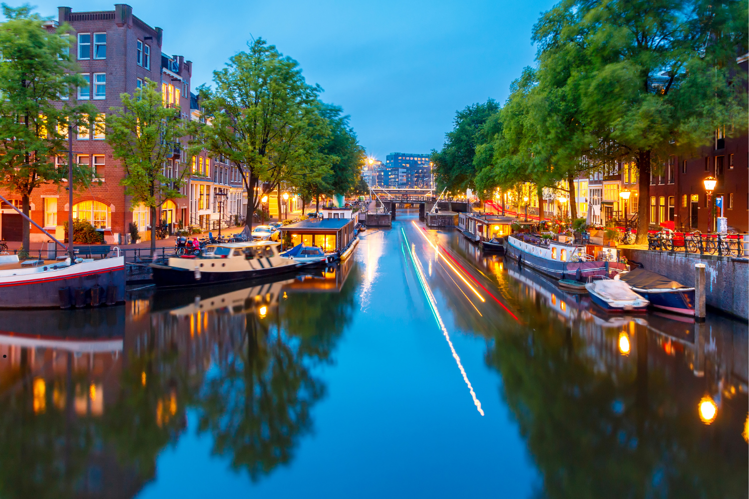 All About Netherlands