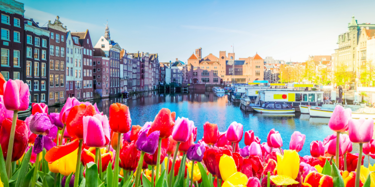Best Universities in Netherlands for International Students
